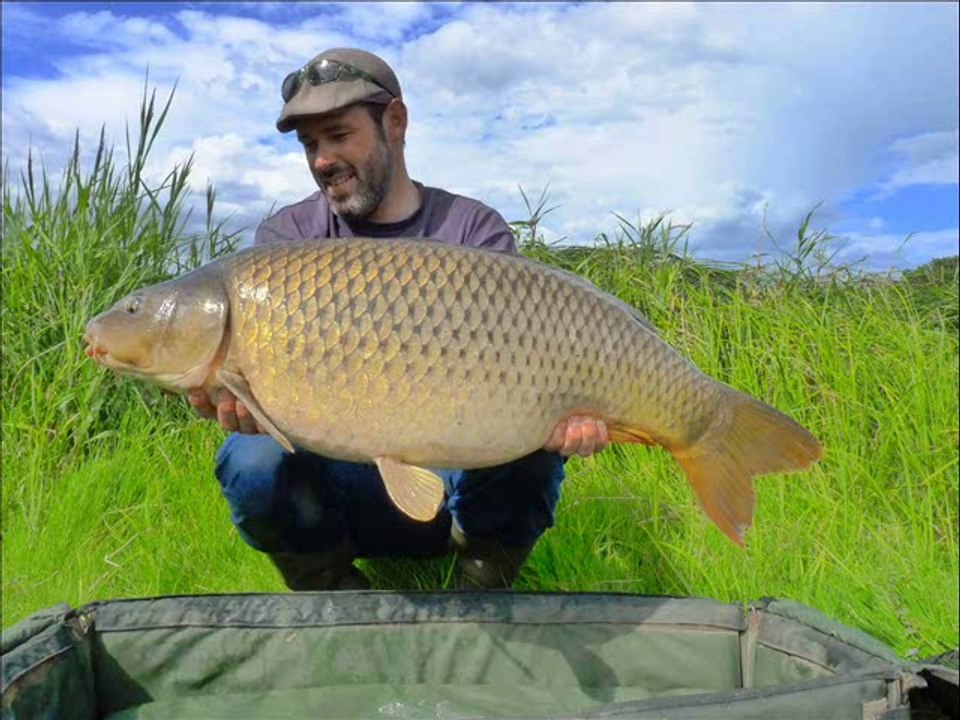 saison 2013
