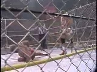 Rick Steiner/Hyatt vs Dangerously/Arn