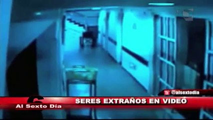 Seres extraños en video: misteriosas criaturas que habitan YouTube (1/2)