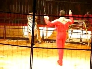 Kerstcircus Ahoy Rotterdam