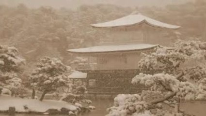 池田清彦「地球温暖化データ捏造問題」