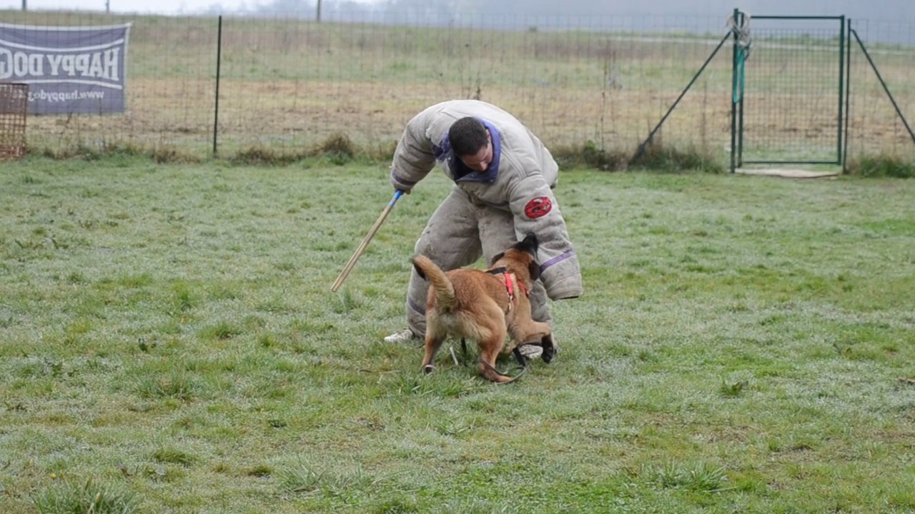 Iéty du Millésime Champenois au mordant