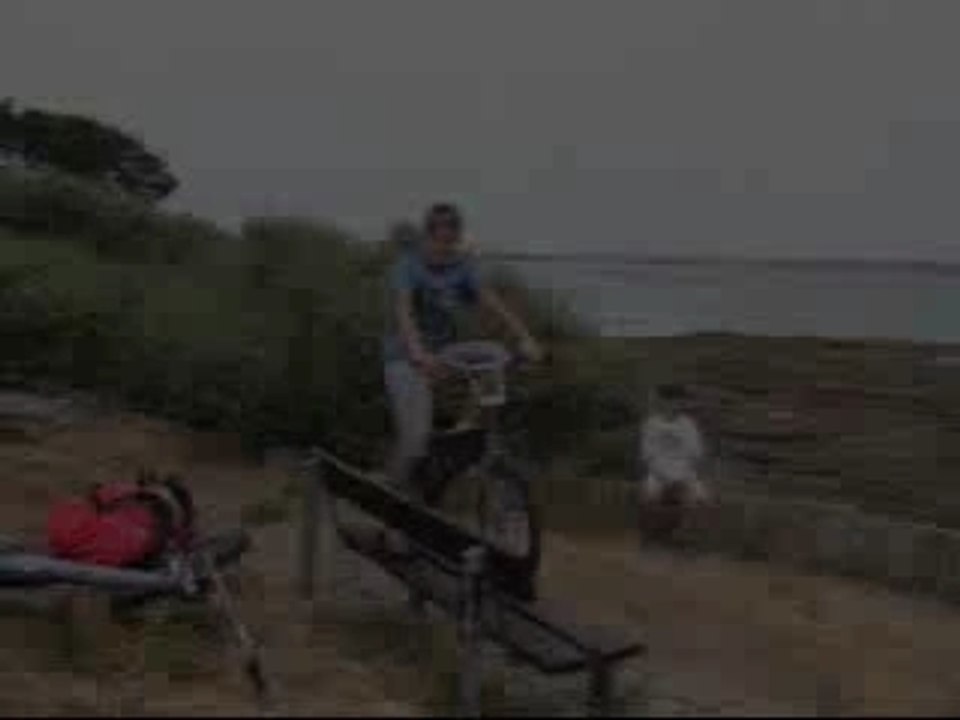 Session bike 2006