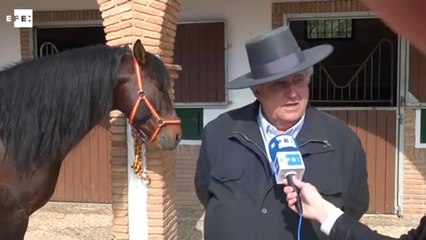 Homenaje a Mahillo García por toda una vida de "idilio" hípico .