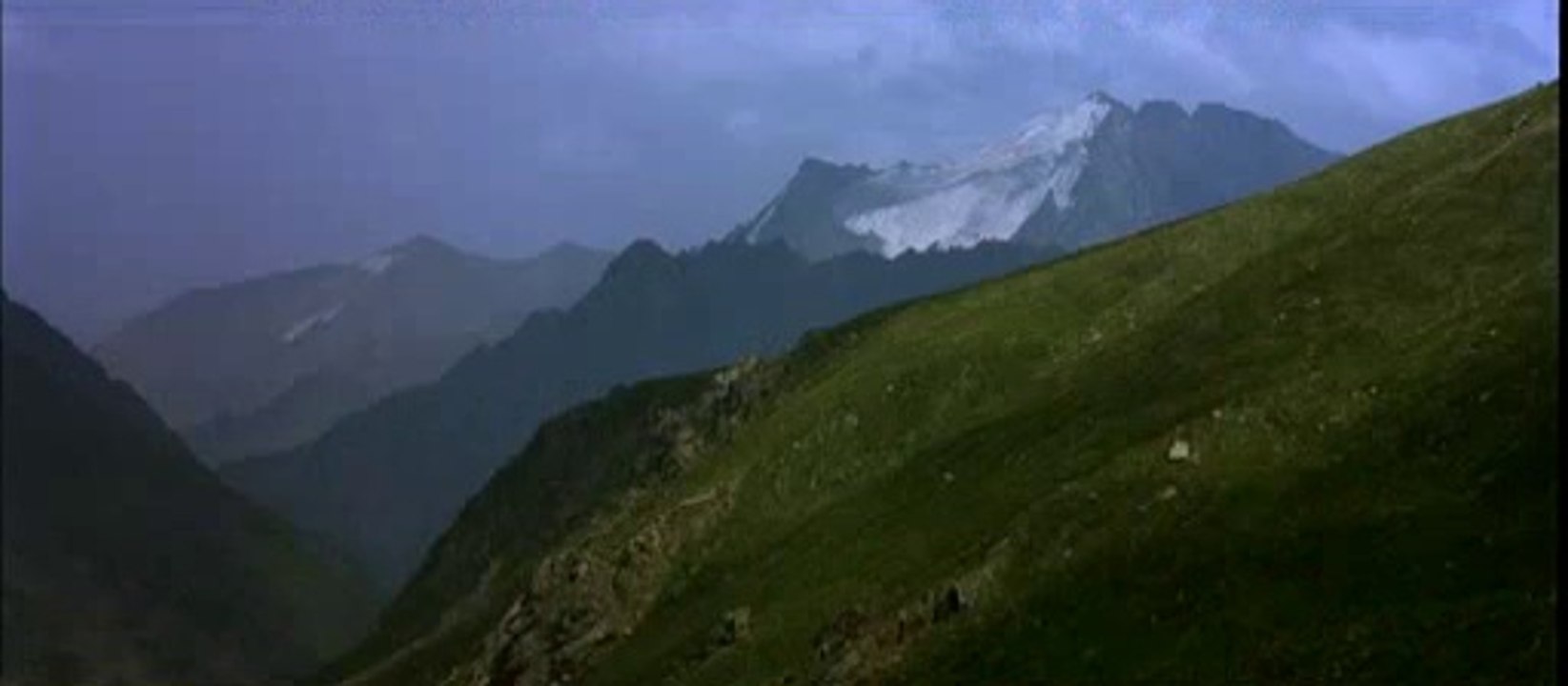 Pourrais-tu vivre dans le désert ...?  [ Tigre et Dragon ]
