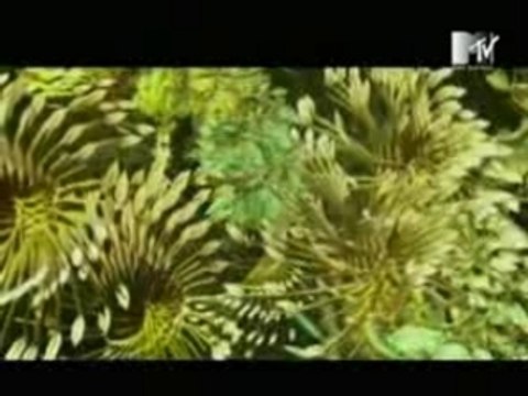 Iam - revoir un printemps