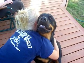 Download Video: So so Scary : giant dog grunting when you hug him!