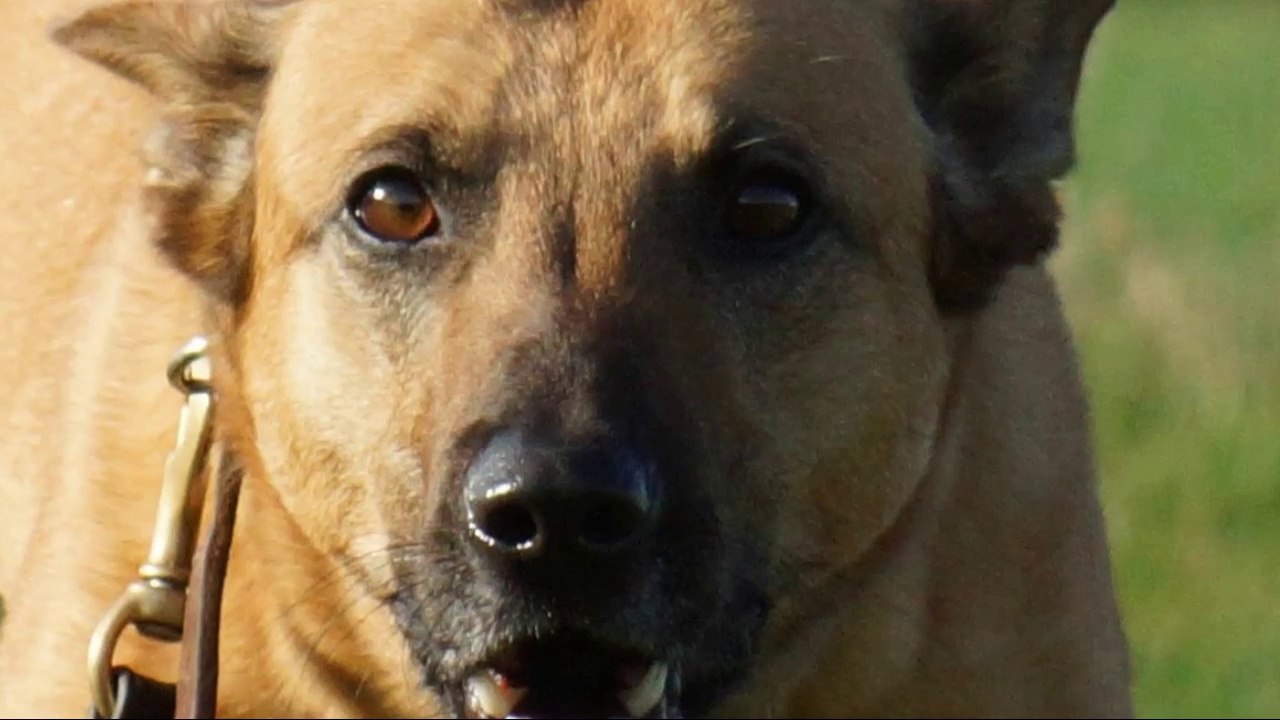 Be Aware C'Teufelchen @ A.N.G.R.Y !!!