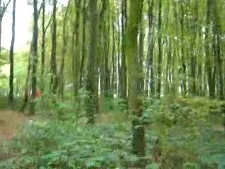 jejey fé crier la becane san po