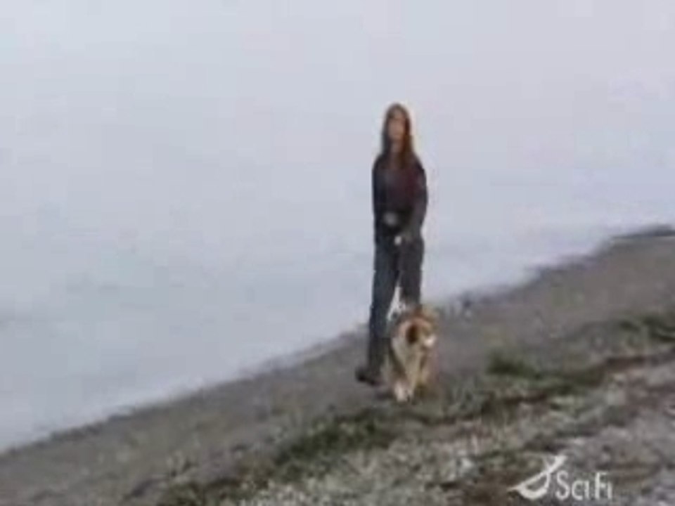 c'est toi que je t'aime