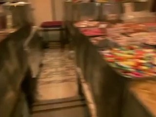 Science Islam - L'empire de la raison