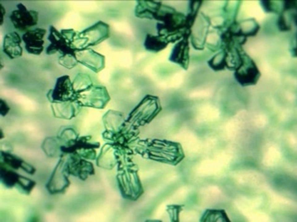 FK waterphoto
