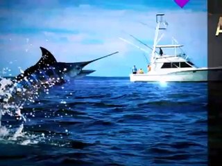 Kamuflaj ustası Kılıç balığı