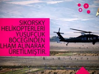 Yusufçuğun muhteşem uçuş yeteneği