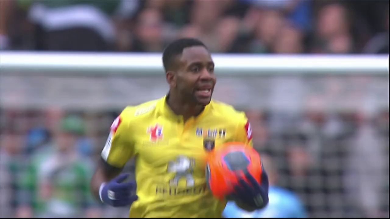 But Edouard BUTIN (66ème) - AS Saint-Etienne - FC Sochaux-Montbéliard - (3-1) - 23/03/14 - (ASSE-FCSM)