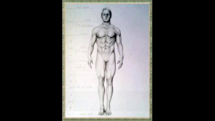 How To Draw A Man's Body Step by Step