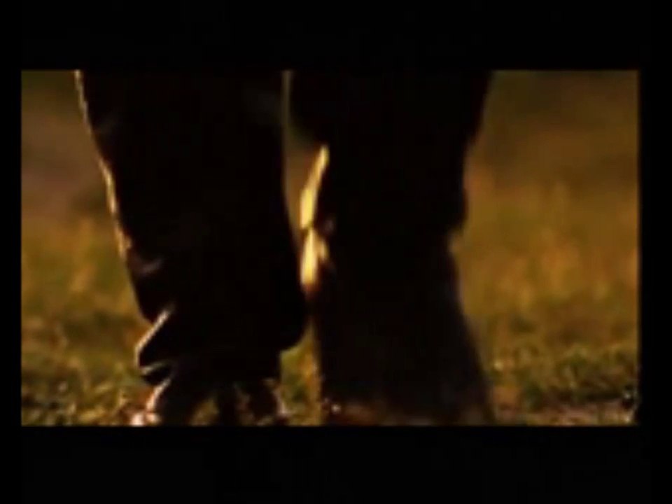 Göğsümdedir hulleli taç .....