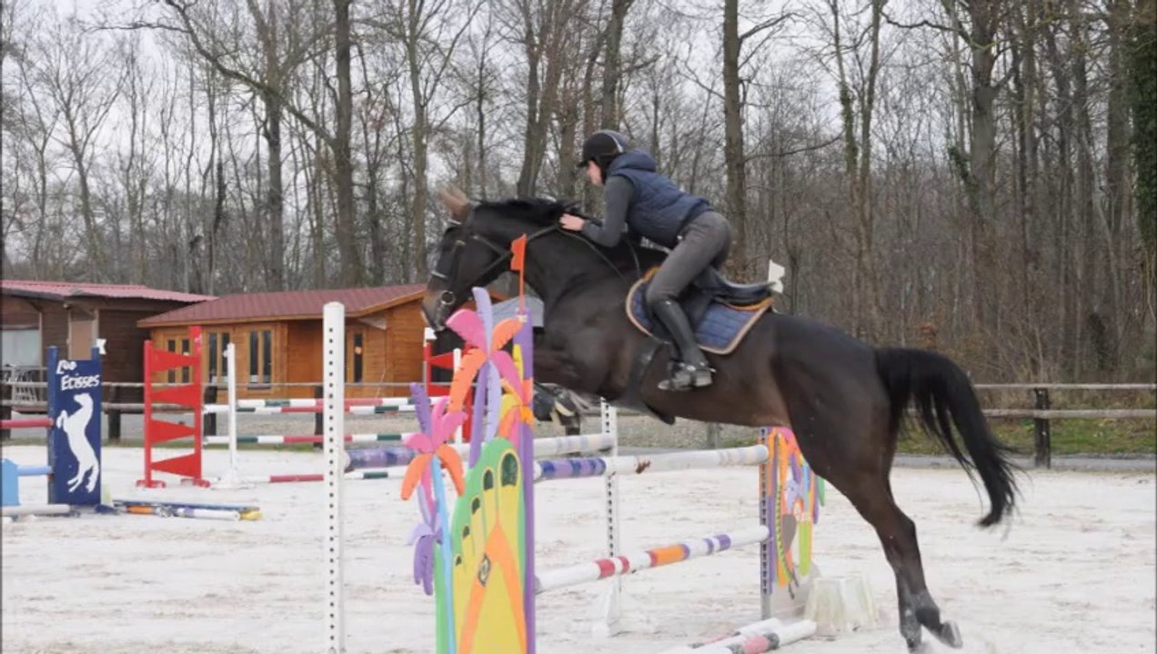 Roro - Entrainement 2