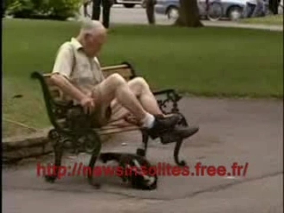 Caméra cachée putois
