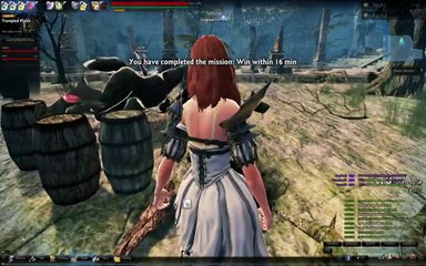 Vindictus Gameplay
