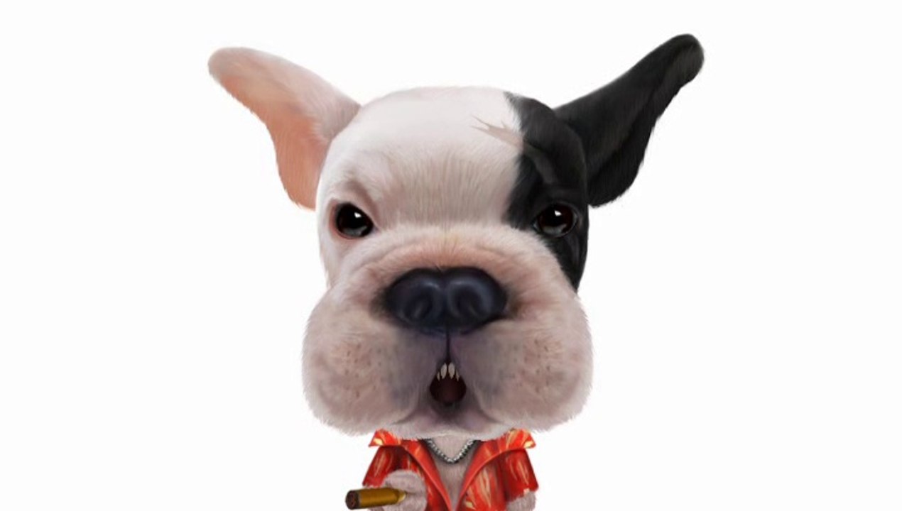 ♫ ♫ Everywhere We Go ♫ ♫