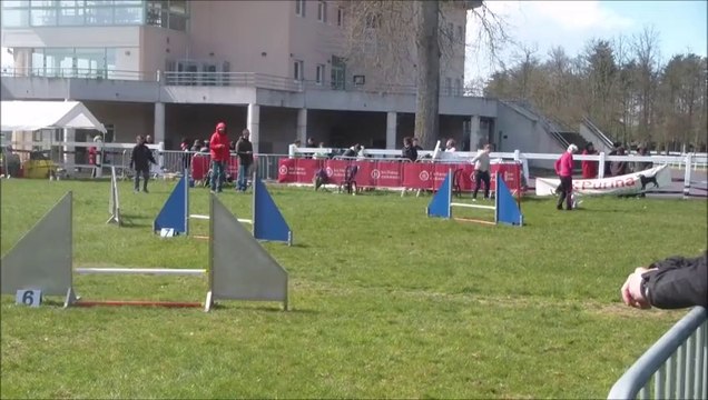 Eclipse Concours du Lion d'Angers 2014-03-23