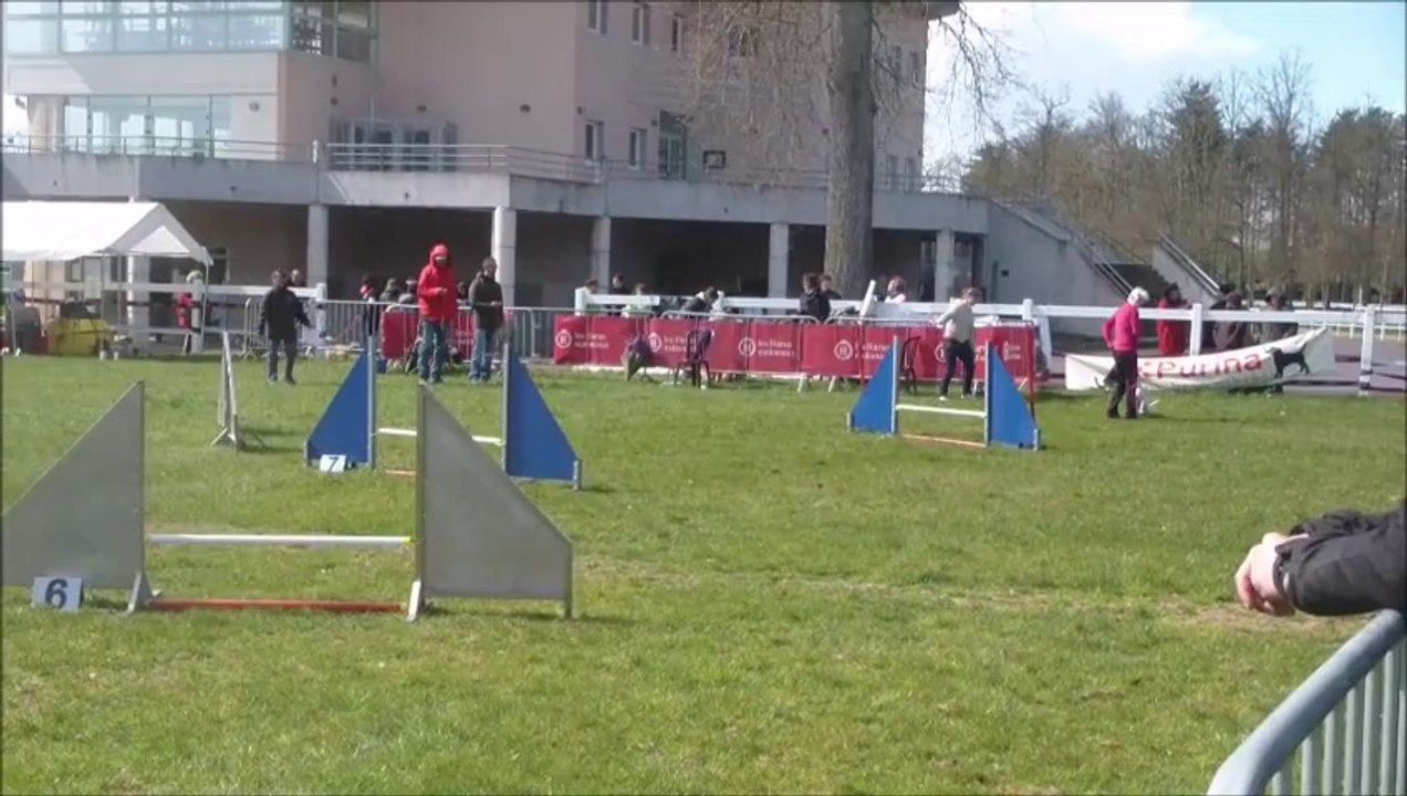 Eclipse Concours du Lion d'Angers 2014-03-23