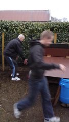 alfie and bothered chase chickens