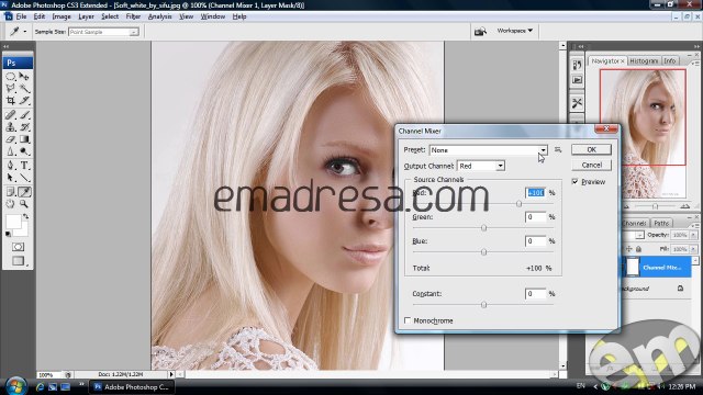Picture Effect in Photoshop Urdu Tutorial by Emadresa.com