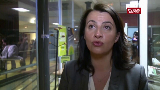Cécile Duflot : la quasi-totalité des listes écologistes progressent