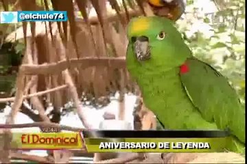 Aniversario de Leyenda: zoológico celebra 50 años cautivando niños y adultos