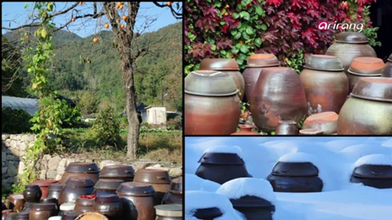 Taste of Wisdom Ep01  Korea's Healing Food, Cheonggukjan