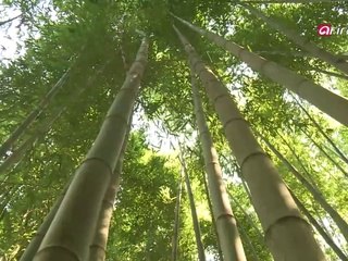 Taste of Wisdom Ep02C01 Meju