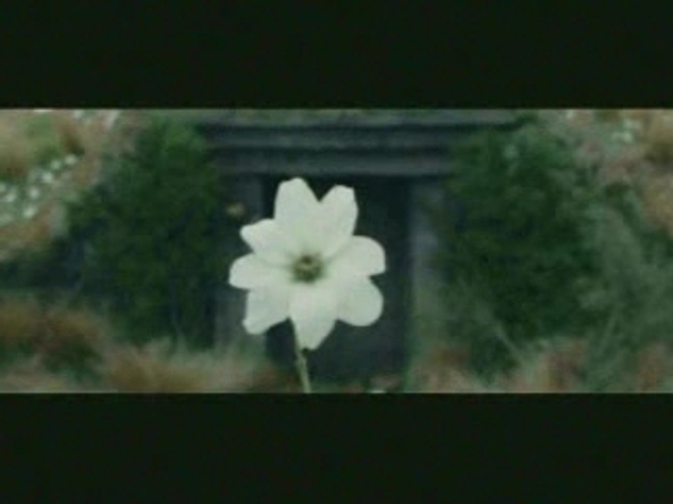 Legolas vous souhaite un joyeux noël