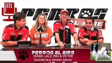 PERROS AL AIRE 22 DE MARZO DEL 2014