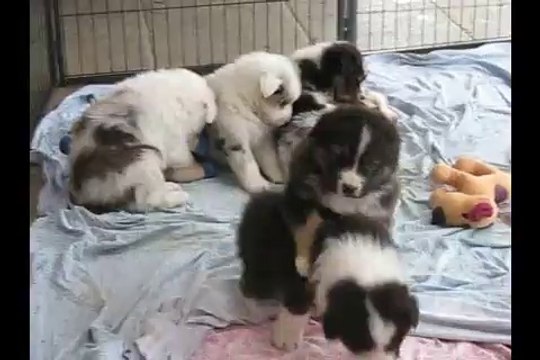 Jeux dehors 5 semaines