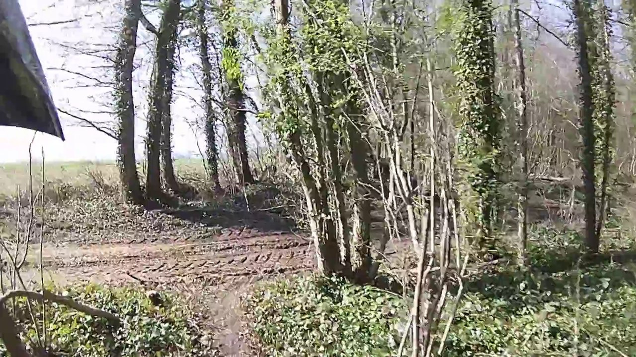 Single Enduro - Chamouilley - 16 mars 2014 (06/13)
