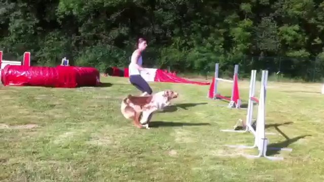 Figuane Jumping Magny les hameaux 2013