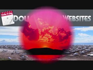 Social Media Management