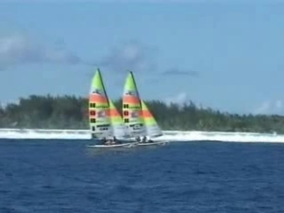 Hobie Cat