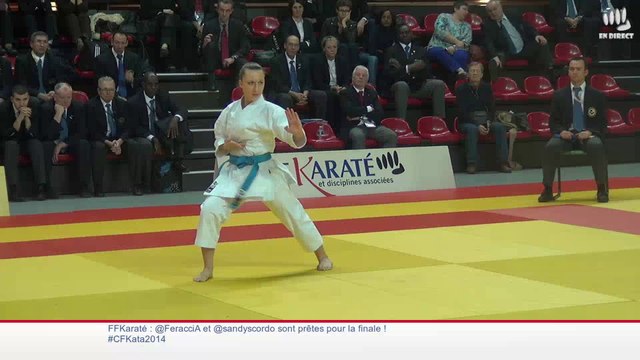 Finales individuels - Championnat de France Kata 2014