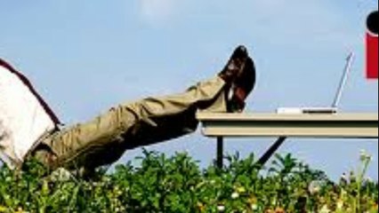 Lakeland Movers in Florida