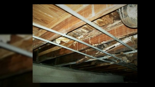 Home Inspectors Rochester NY | HomePro Inspections