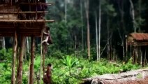 Des maisons dans les arbres! Peuple ancestral de Nouvelle Guinée. Magnifique...