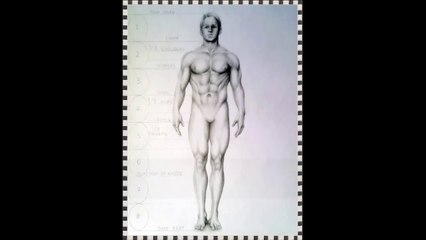 How to Draw the Human Body with Easy Steps