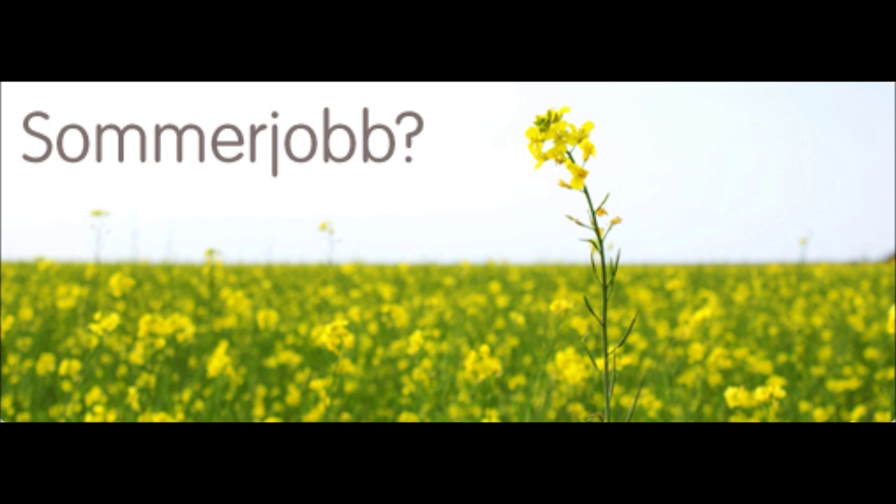 Sommerjobb i Oslo | Rekruttering Oslo | Vikarbyrå Oslo | Alliansen