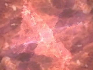 Breathing Fire Breathing Universe