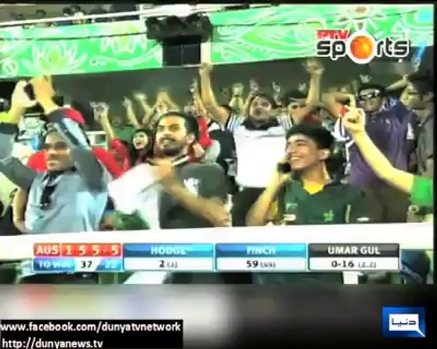 Cricket