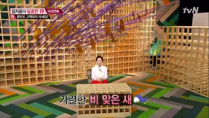 김지윤의 달콤한 19.E03.사내연애 #1