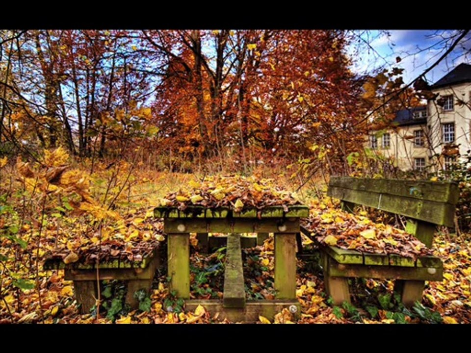 ali erdemir yazımı kışa çevirdin
